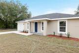 24035 Amberjack Avenue - Photo 2