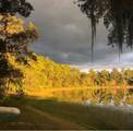14730 61ST STREET Road - Photo 84