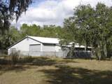 3207 Withlacoochee Trail - Photo 8