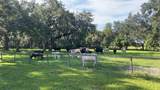 4880 Bannon Island Road - Photo 5