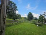 208 Limpkin Ln - Photo 11
