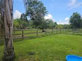 208 Limpkin Ln - Photo 12