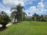 208 Limpkin Ln - Photo 3