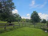 208 Limpkin Ln - Photo 9