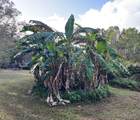 13333 Misti Loop - Photo 10