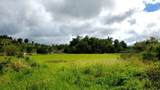 State Road PR-2 Km. 94.0 - Photo 2