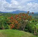 53 Ingenio Street - Photo 4