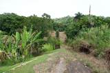 LOT #3 Sr 165 Km 6.3 Int Quebrada Arenas - Photo 4