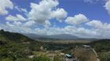 Carr 925 KM 4.9 Bo. Junquito - Photo 14