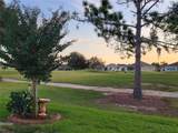 27343 Roanoke Drive - Photo 58