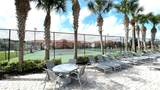2907 Banana Palm Drive - Photo 16