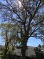 539 Libby Road - Photo 68