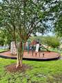 13418 Tea Rose Way - Photo 34