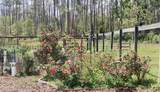 3184 Songbird Circle - Photo 50