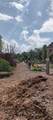 3184 Songbird Circle - Photo 51