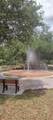 3184 Songbird Circle - Photo 56