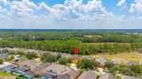 1038 Orange Cosmos Boulevard - Photo 58