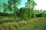30150 Overpass Road - Photo 5
