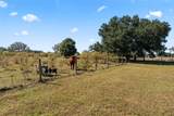 0 County Road 52 - Photo 4