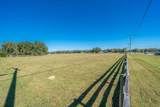 31935 County Road 52 - Photo 11