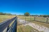 31935 County Road 52 - Photo 12