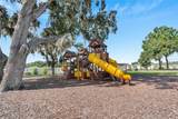 13662 Wineberry Drive - Photo 39