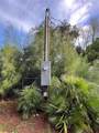 14633 Williams Lane - Photo 9