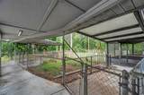 655 Appaloosa Road - Photo 66