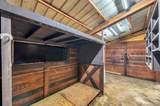 655 Appaloosa Road - Photo 8