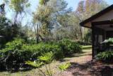 2912 Star Apple Court - Photo 56