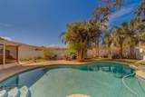 783 Placido Way - Photo 39