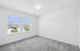4227 Big Sky Drive - Photo 21