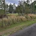 26 Lantana Drive - Photo 4