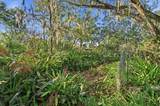 16921 Crawley Road - Photo 11