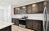 10537 Hidden Banks Glen - Photo 4