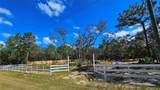 16266 Night Heron Road - Photo 4