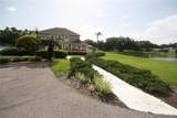 10402 Ashley Oaks Drive - Photo 3