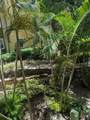 1910 Palm Avenue - Photo 30