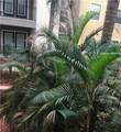 1910 Palm Avenue - Photo 32