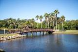 2617 Cove Cay Drive - Photo 46