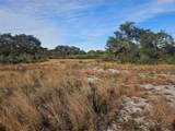 625 Reed Road - Photo 2