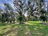 35174 Roth Lane - Photo 8