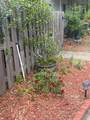 12709 Tall Pine Drive - Photo 10