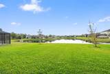 31046 Parrot Reef Court - Photo 53