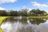 12305 Twin Branch Acres Road - Photo 47