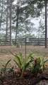 12480 Fern Point - Photo 45