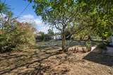 610 Palm Avenue - Photo 38