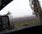 1823 Welcome Road - Photo 3