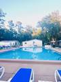 7071 Spanish Moss Lane - Photo 5