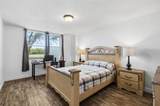 2333 Feather Sound Drive - Photo 15